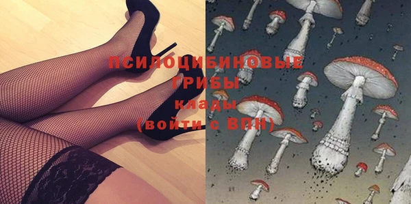 МДПВ Касимов