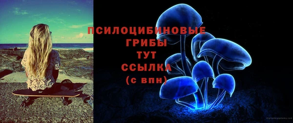 альфа пвп Карпинск