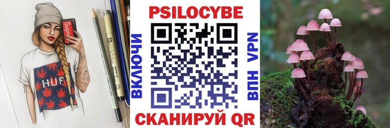 ссылка на мегу как войти Лобня Псилоцибиновые грибы Psilocybe