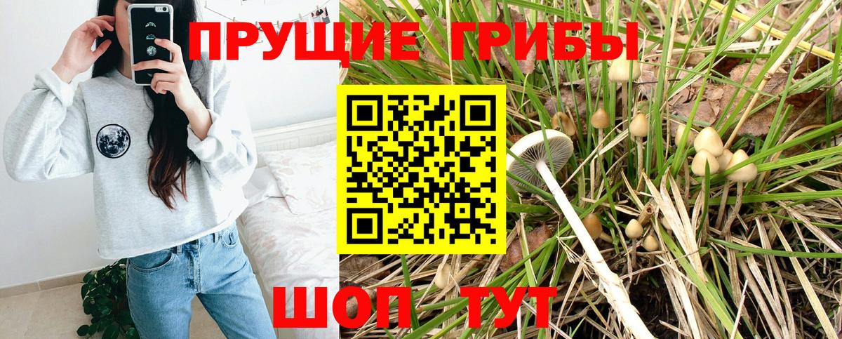 Лобня  Псилоцибиновые грибы MAGIC MUSHROOMS  Галлюциногенные грибы мицелий  Вход с VPN 