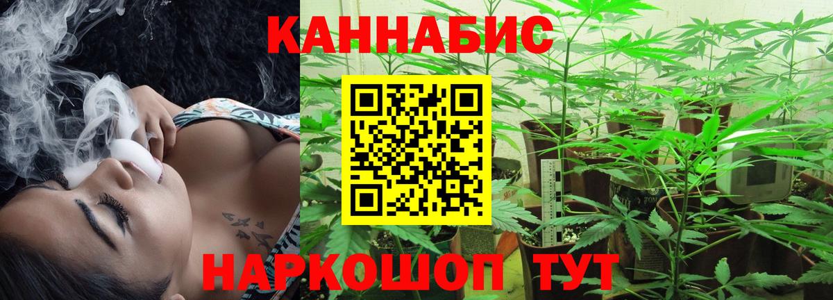 Конопля тримм  Бошки Шишки OG Kush  Вход с VPN  Лобня  Канабис White Widow 